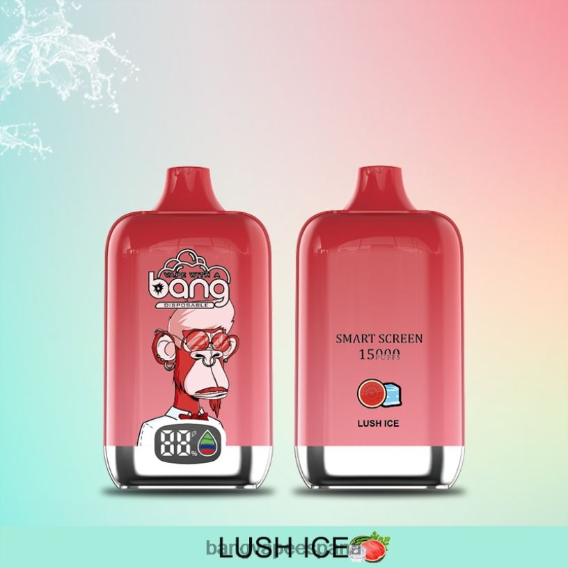 Bang Vape Digital Smart Screen 15000 inhalaciones 25ml desechable Bang Vape España P60NJ11