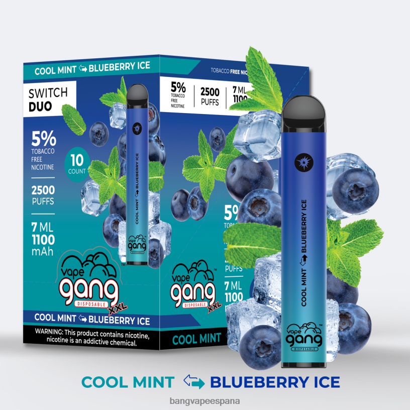 Vape Gang Switch Duo 2 sabores (caja de 10) menta fresca - hielo de arándanos Bang Vape Precio P60NJ43