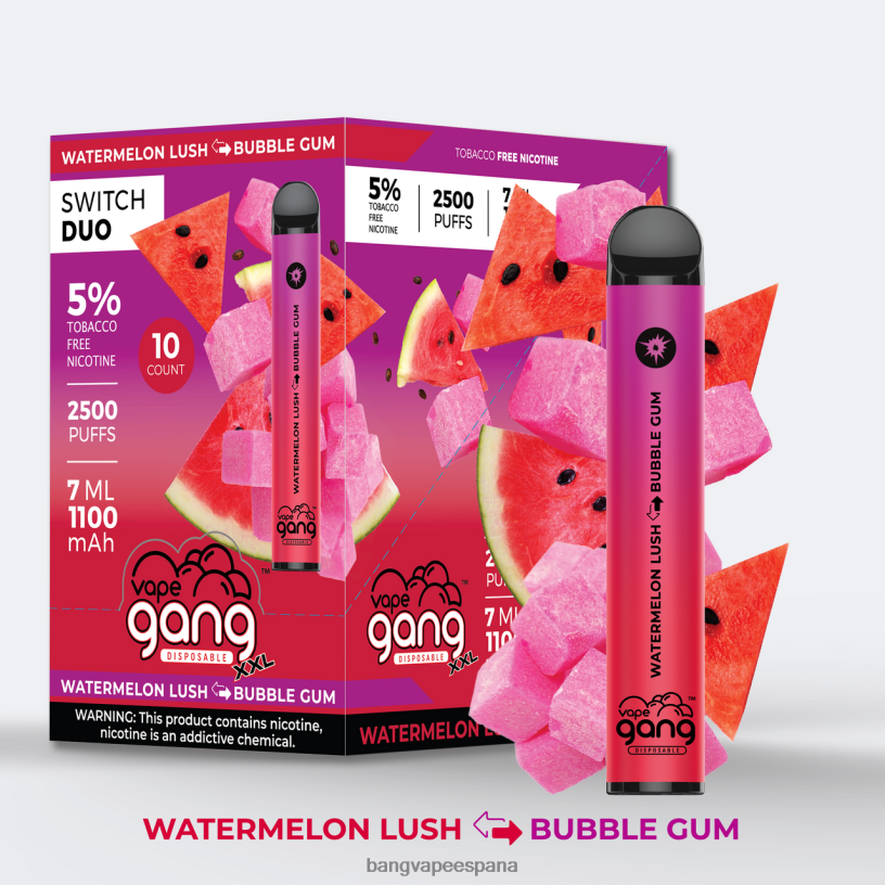 Vape Gang Switch Duo 2 sabores (caja de 10) sandía exuberante - chicle Vape Gang Flavors P60NJ49
