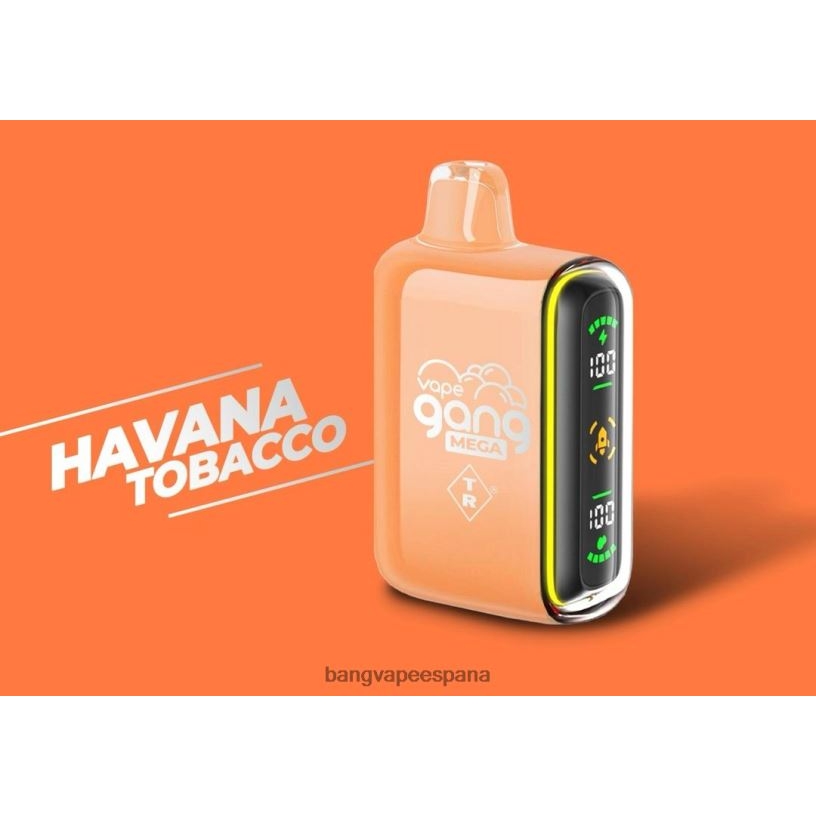 Vape Gang MEGA Vape desechable de 20.000 inhalaciones (caja de 5) tabaco habano Bang Vape Precio P60NJ55