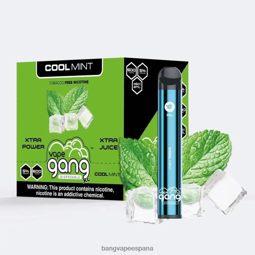 Vape Gang XL vaporizadores desechables 600 inhalaciones (caja de 10) menta fresca Vape Desechable Bang P60NJ79